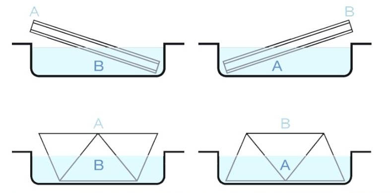 Double Dipping diagram
